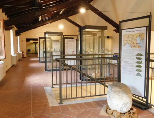 Museo Archeologico di Casteggio e Oltrepò Pavese: storia e tesori del territorio