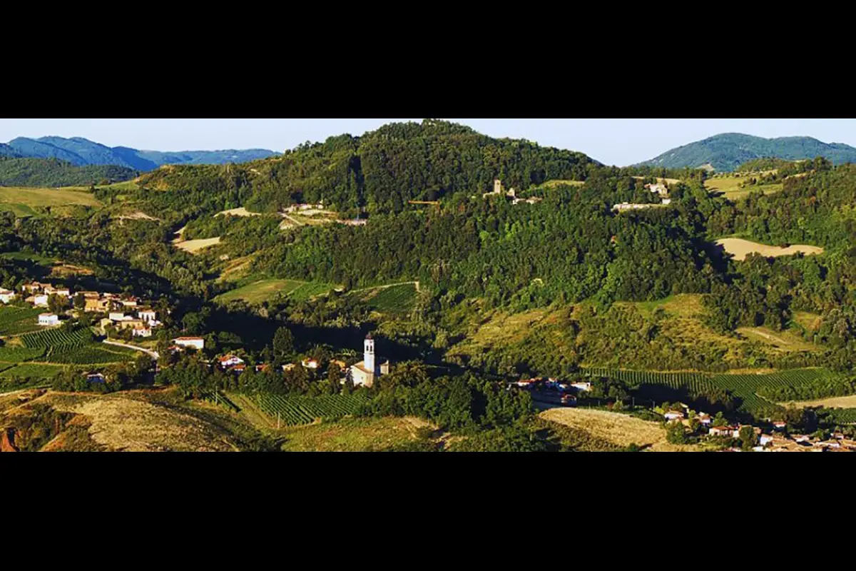 fondazione cariplo borgoratto