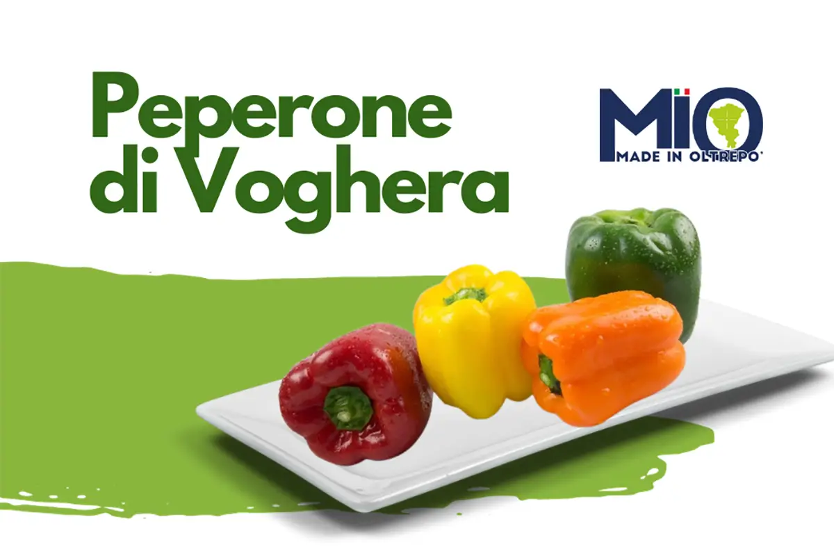 peperone di voghera