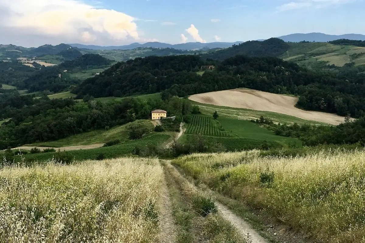 rocca de giorgi