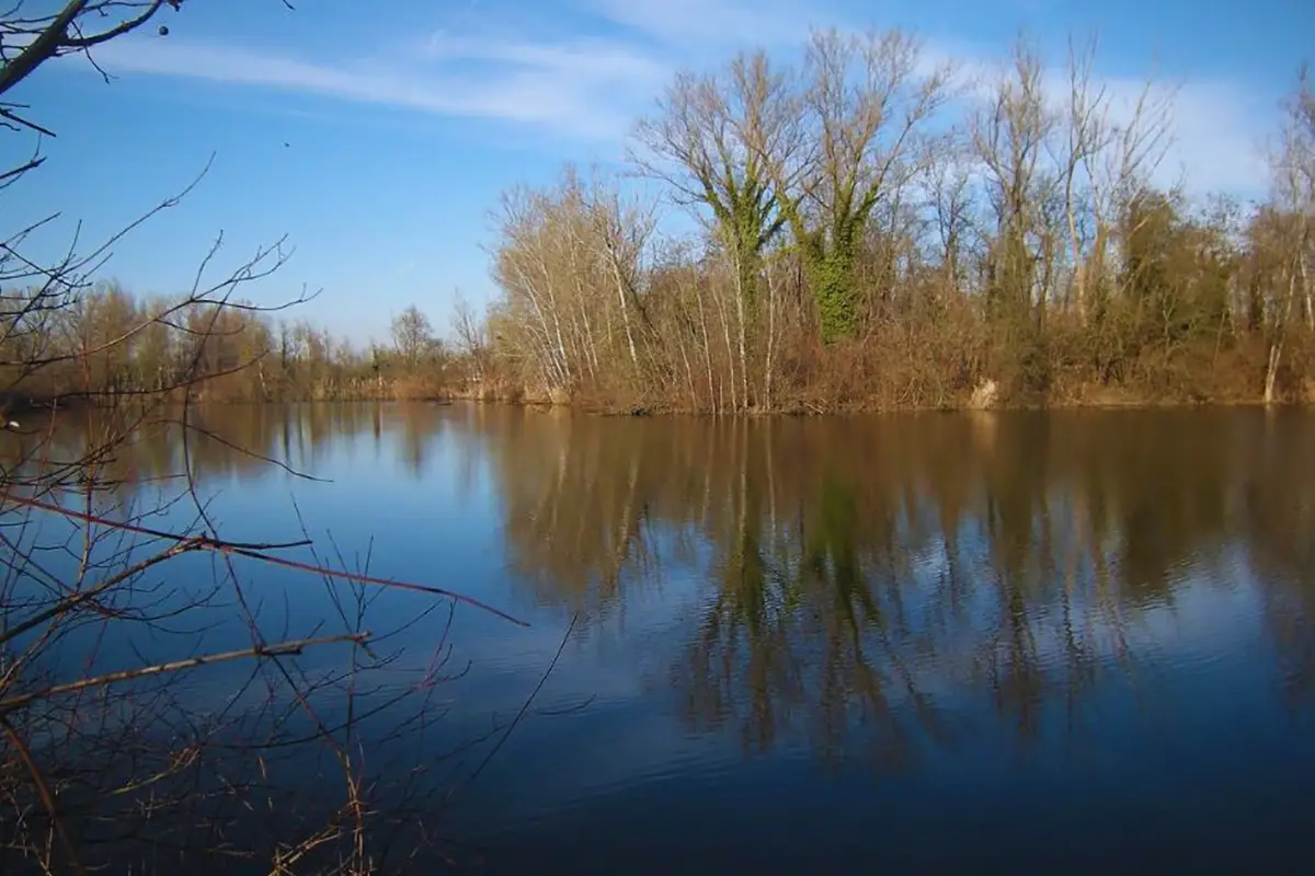 parco palustre lungavilla