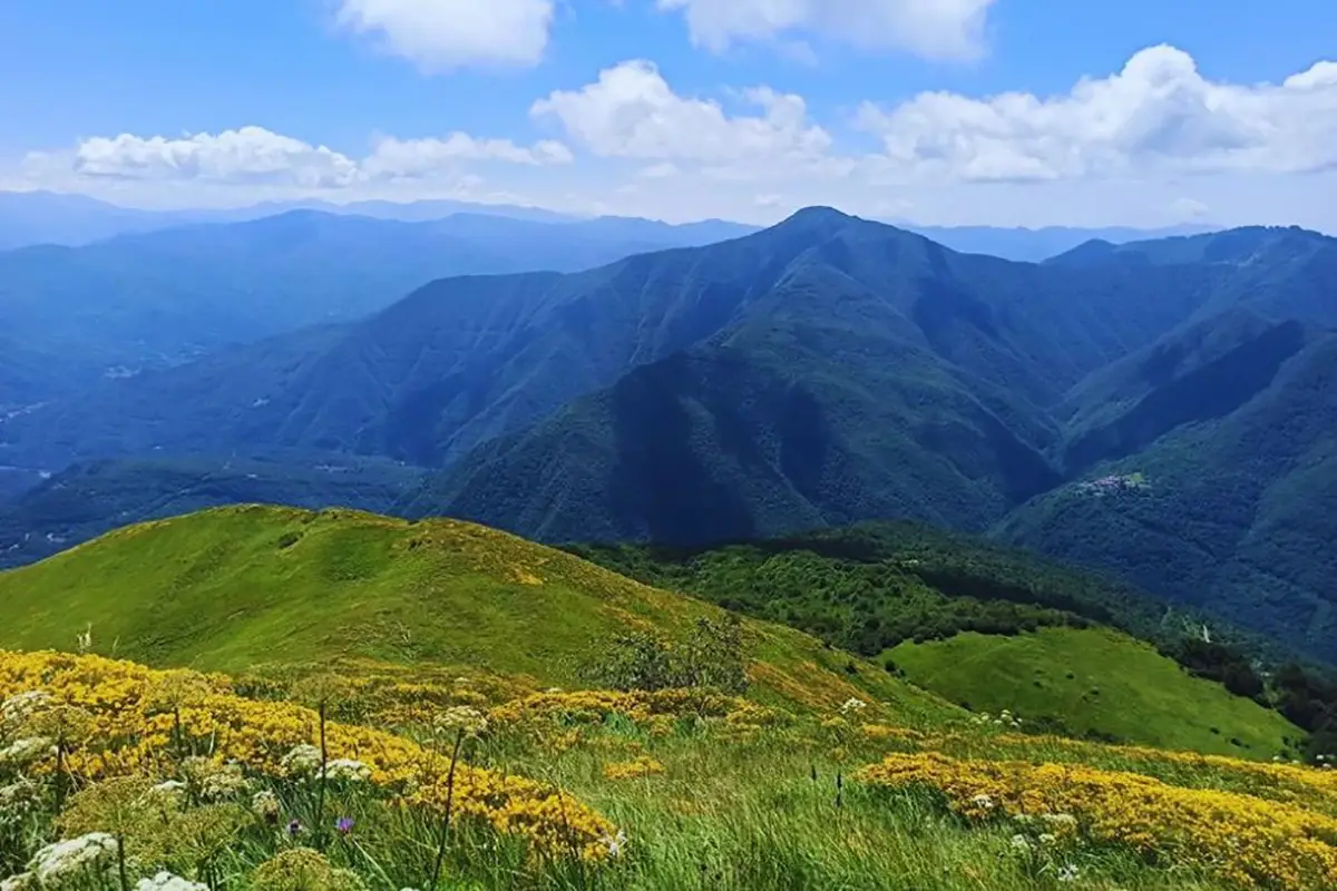 le torraie monte lesima