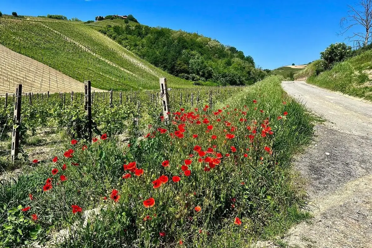 valle scuropasso