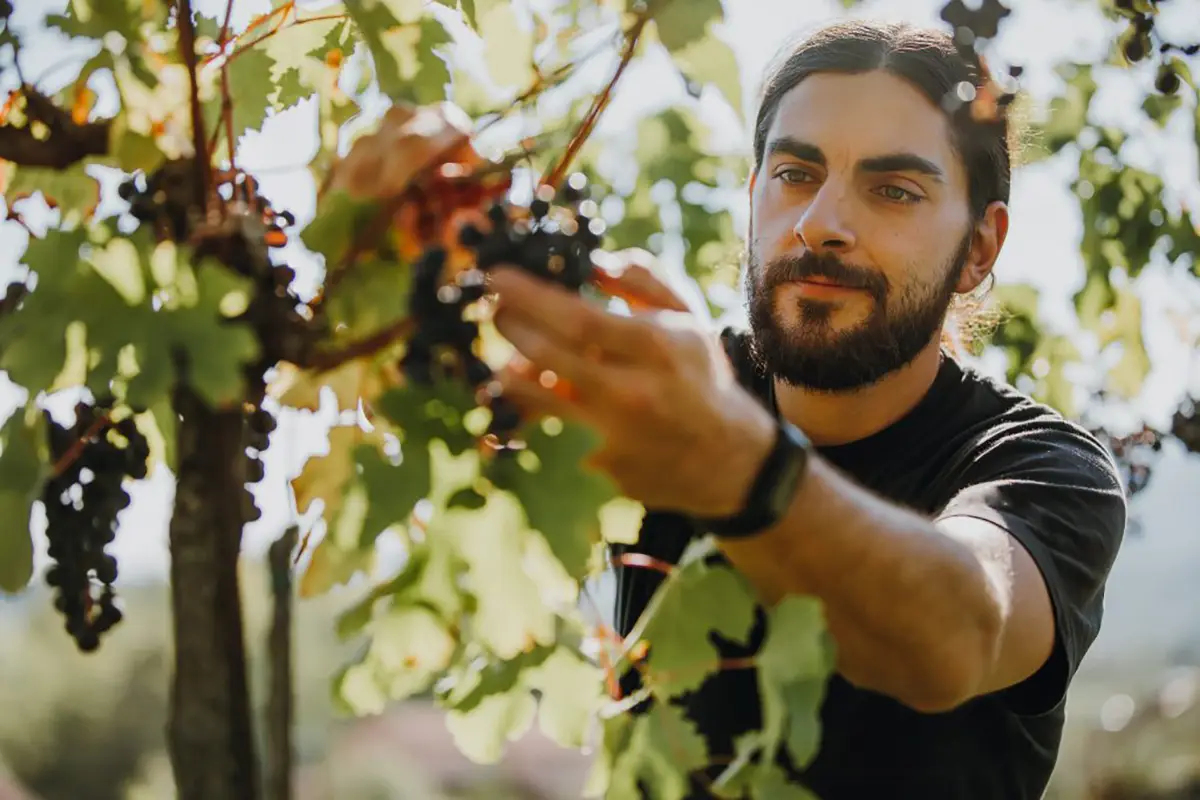 sostegno aziende agricole