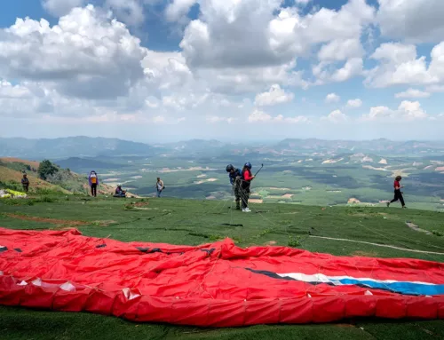 Parapendio nell’Oltrepò Pavese: un’avventura da sogno tra vigneti e collline