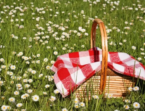 Scopri l’Oltrepò Pavese: i migliori luoghi per un picnic indimenticabile