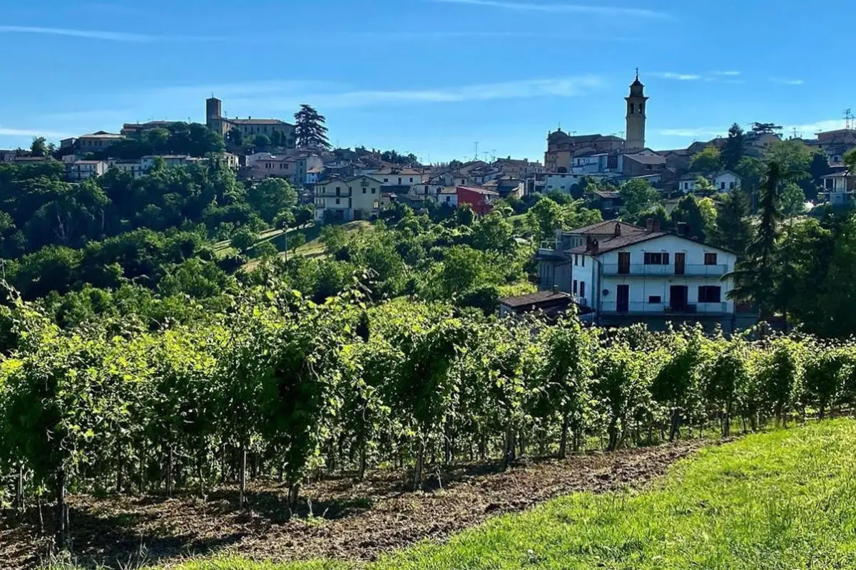 valle bardonazza