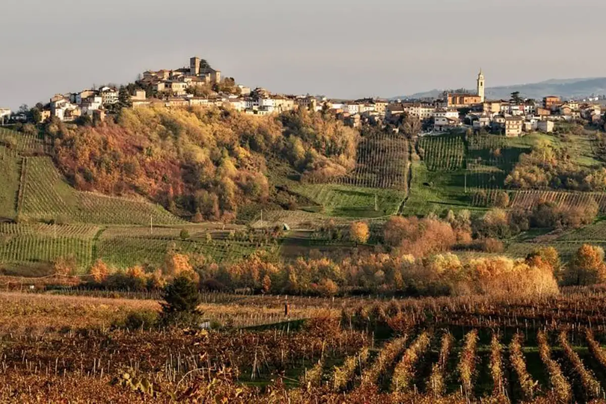 rovescala gioiello tra le colline dell'oltrepo