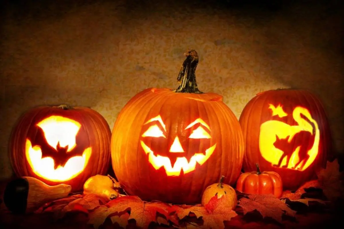 Festeggia Halloween al Cowboys' Guest Ranch di Voghera