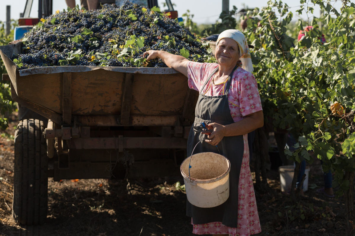 Oltrepò Pavese: terra di colline, vini e borghi da scoprire