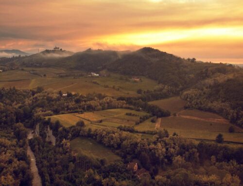 Oltrepò Pavese: terra di colline, vini e borghi da scoprire