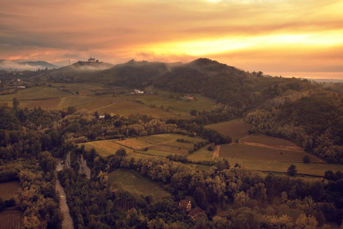 Oltrepò Pavese: Terra di Colline, Vini e Borghi da Scoprire