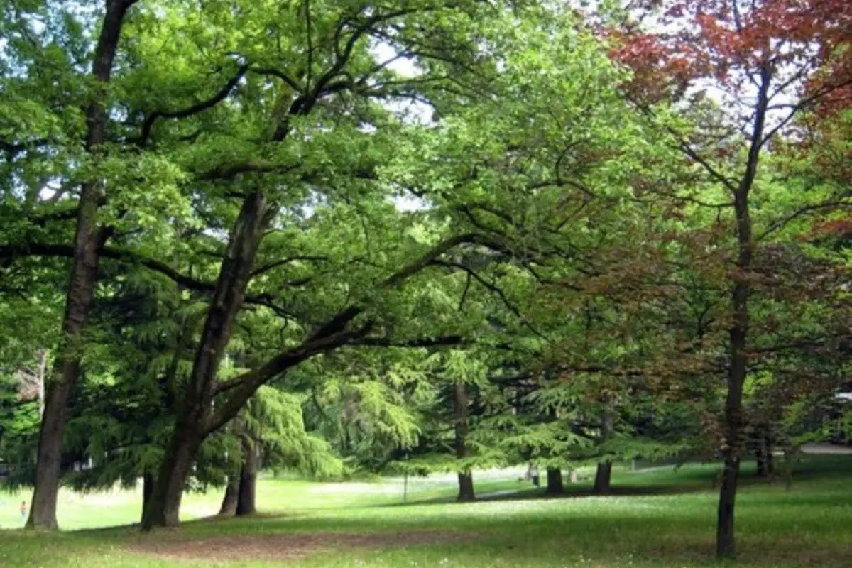 Scopri il Parco delle Terme di Salice