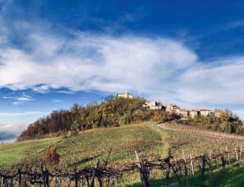 Scopri Canevino: Storia, Natura e Tradizioni Enogastronomiche nel Cuore dell’Oltrepò Pavese