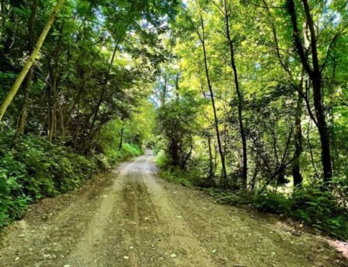 Alla scoperta del Parco Naturale P.L.I.S. delle Valli di Recoaro: un tesoro di biodiversità e bellezza