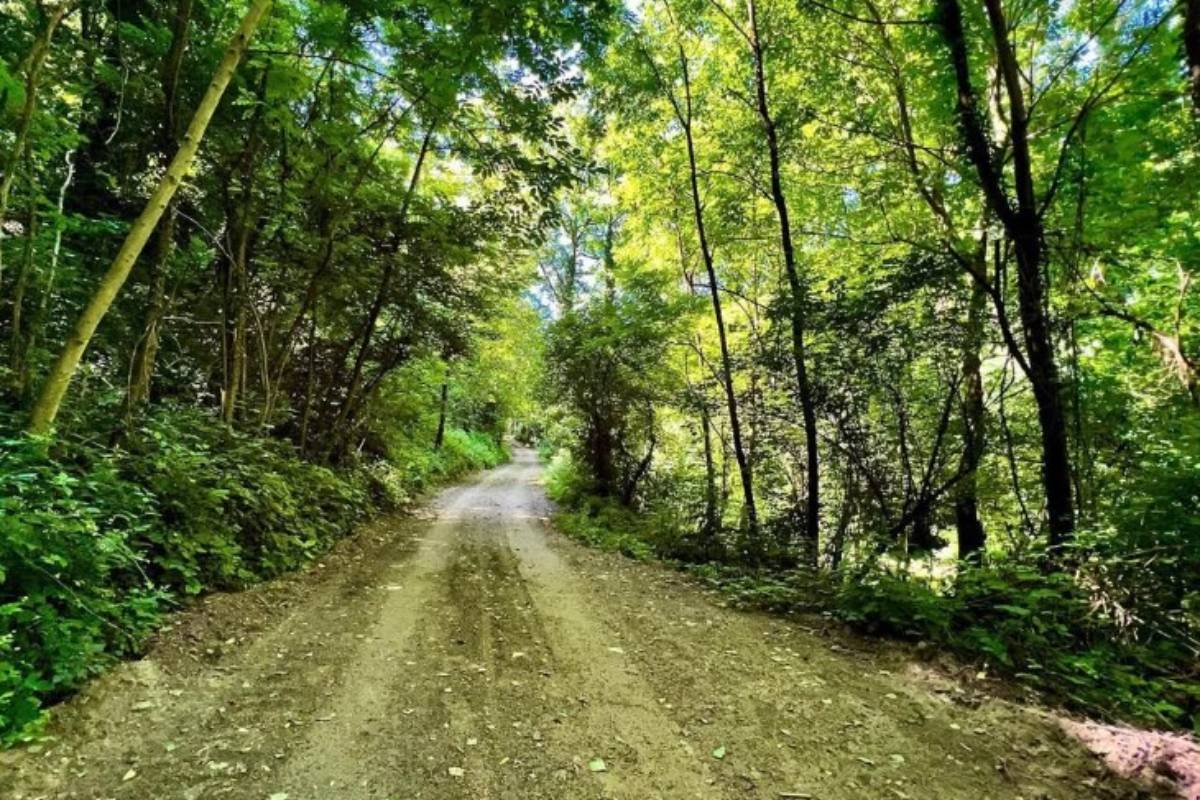 Alla scoperta del Parco Naturale P.L.I.S. delle Valli di Recoaro: un tesoro di biodiversità e bellezza