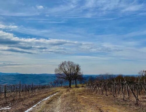 A route through history and nature in the heart of the Oltrepò Pavese: the Volpara Ring