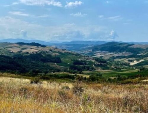 Cantine d’Autore in Montalto Pavese : événement culturel entre le vin et la littérature dans la région de l’Oltrepò Pavese