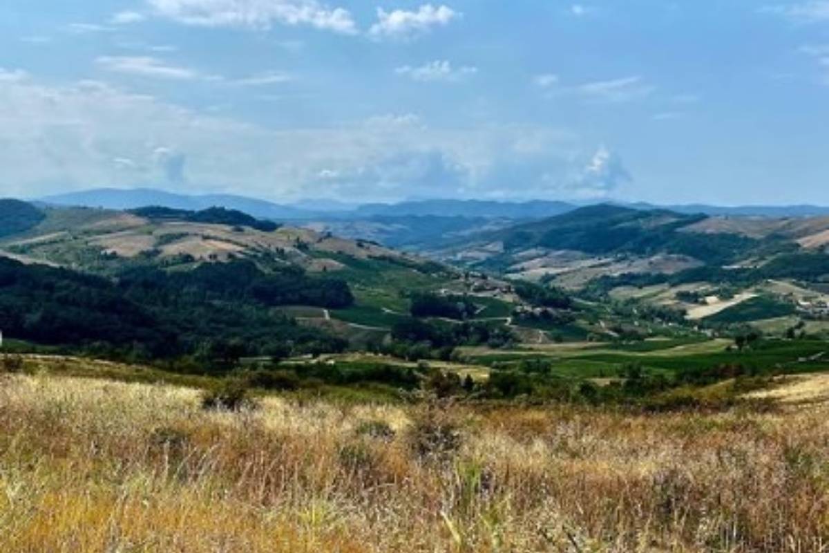 Cantine d'Autore à Montalto Pavese