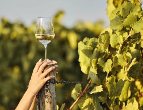 I Grandi Vini dell’Oltrepò Pavese: Un Viaggio tra Storia e Gusto